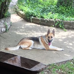 Meet your Posher, Carla